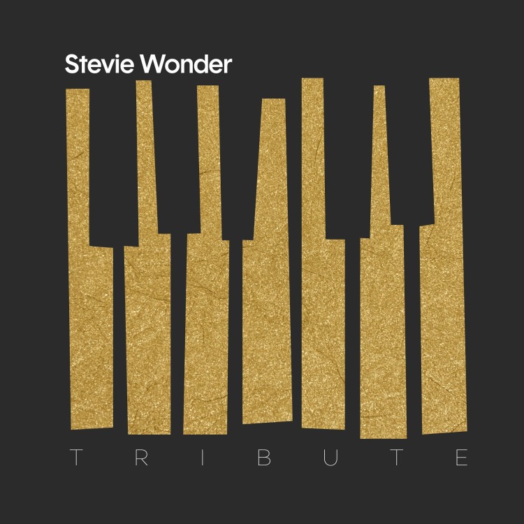 STEVIE WONDER TRIBUTE