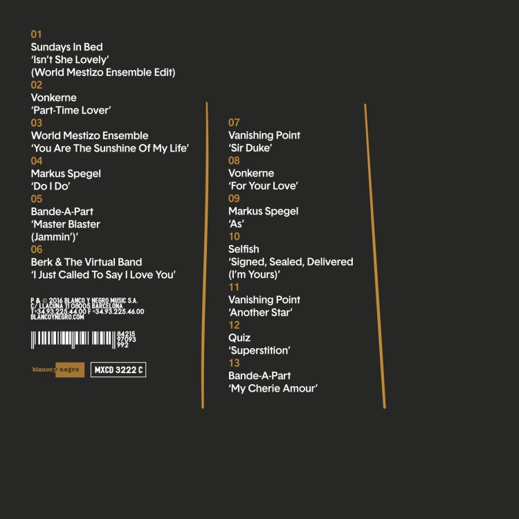 STEVIE WONDER TRIBUTE