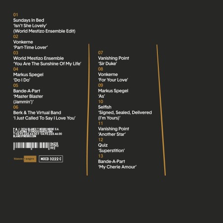 STEVIE WONDER TRIBUTE