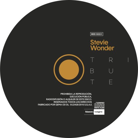 STEVIE WONDER TRIBUTE