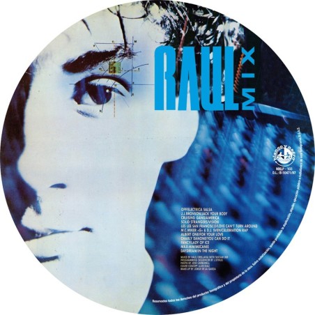 RAUL MIX (Picture Disc) VINYL RAUL MIX (Picture Disc) VINYL