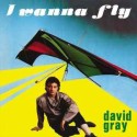 DAVID GRAY - I WANNA FLY (VINYL)