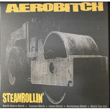 AEROBITCH - STREAMROLLIN - VINYL