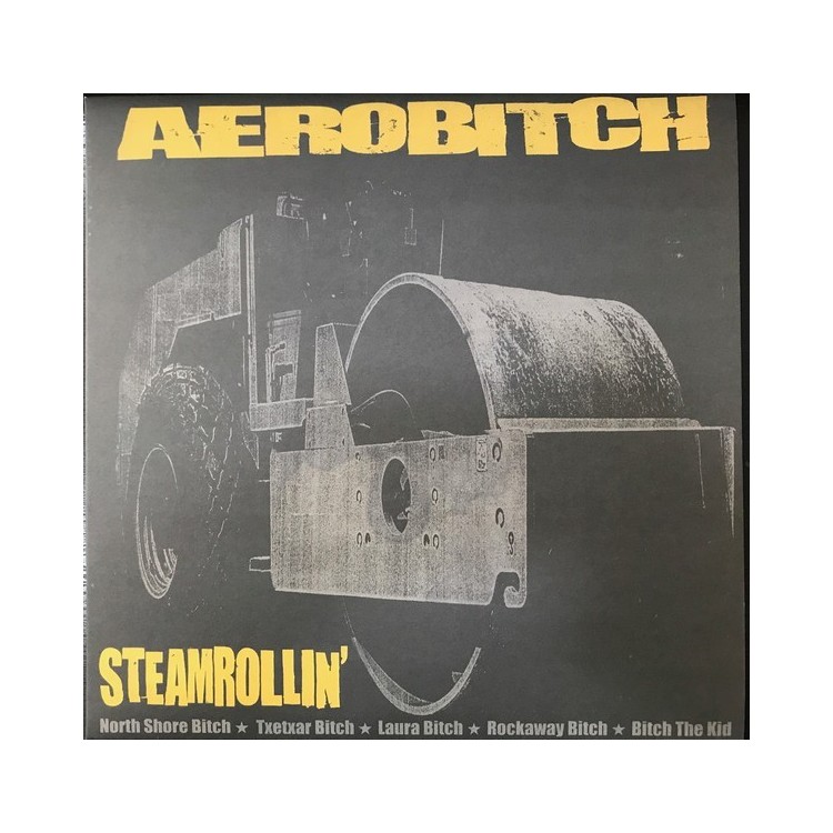 AEROBITCH - STREAMROLLIN - VINYL