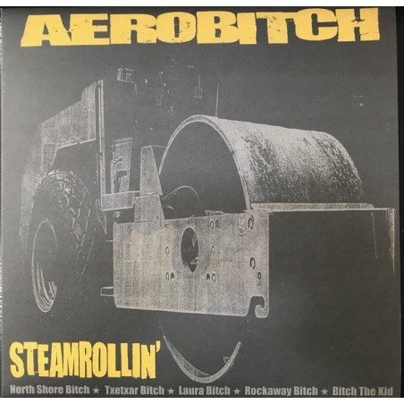 AEROBITCH - STREAMROLLIN - VINYL