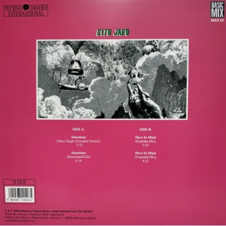 copy of CETU JAVU - SITUATIONS/HAVE IN MIND (GREEN VINYL) copy of CETU JAVU - SITUATIONS/HAVE IN MIND (GREEN VINYL)