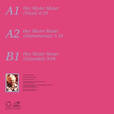 KRISS - HEY MISTER MISTER (VINYL)